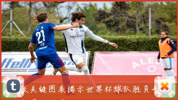 张关键图表揭示世界杯球队胜负手与黑马潜质