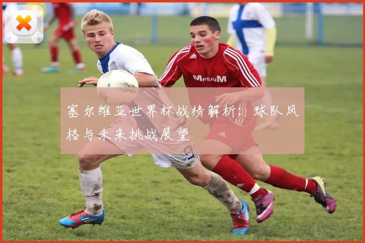 塞尔维亚世界杯战绩解析：球队风格与未来挑战展望