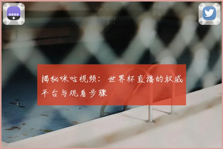 揭秘咪咕视频：世界杯直播的权威平台与观看步骤