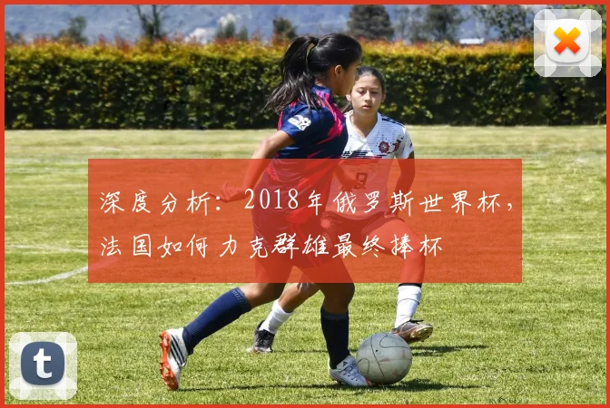 深度分析:2018年俄罗斯世界杯,法国如何力克群雄最终捧杯