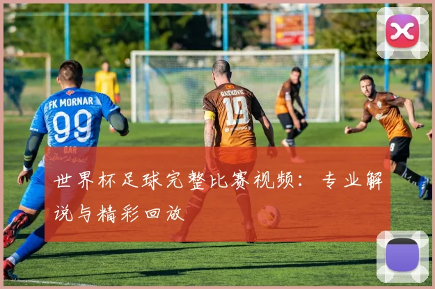 世界杯足球完整比赛视频：专业解说与精彩回放