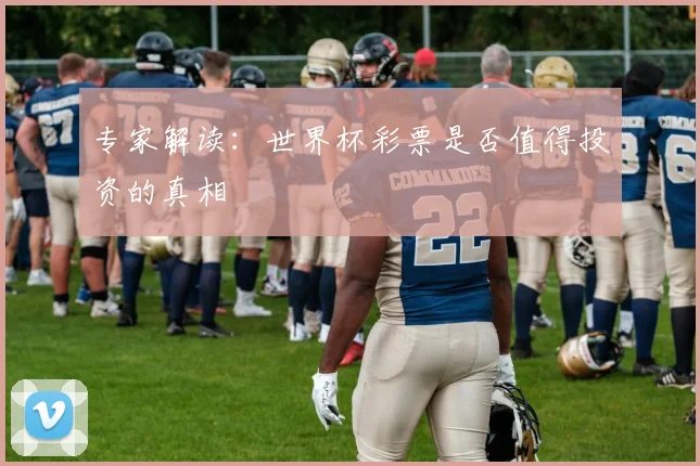 专家解读:世界杯彩票是否值得投资的真相