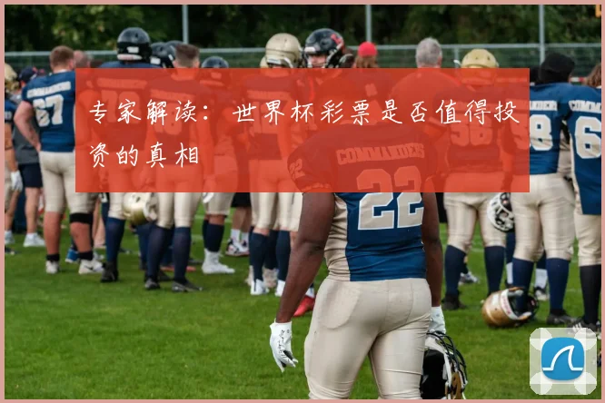 专家解读:世界杯彩票是否值得投资的真相