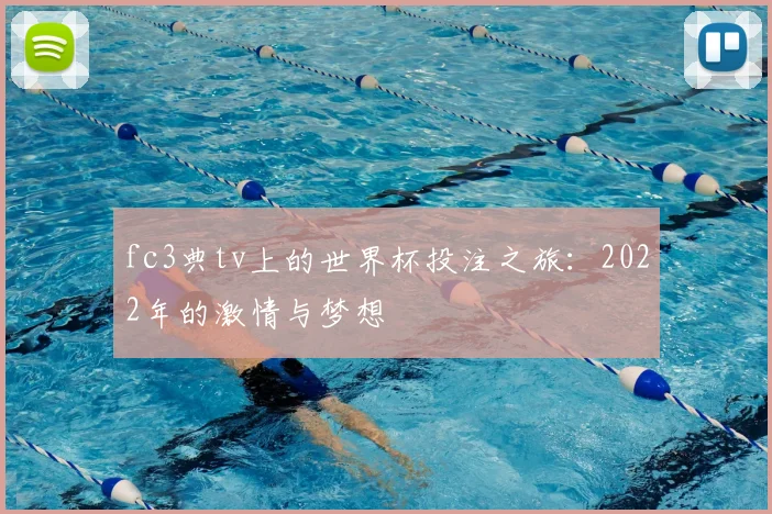 fc3典tv上的世界杯投注之旅：2022年的激情与梦想