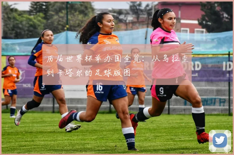 历届世界杯举办国全览：从乌拉圭到卡塔尔的足球版图