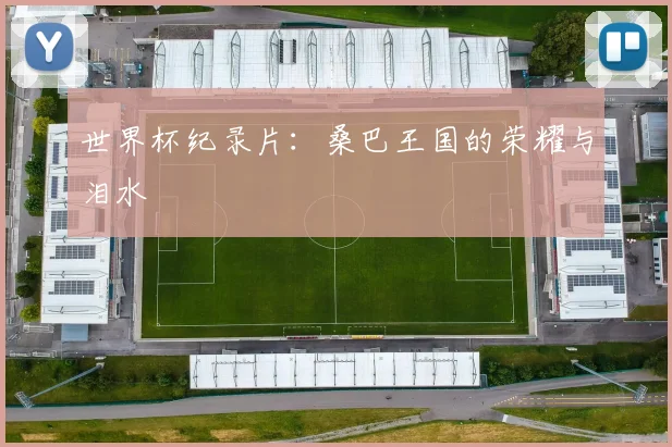 世界杯纪录片:桑巴王国的荣耀与泪水