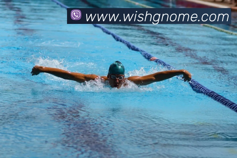 App Interface Preview