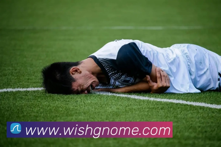 三亿体育APP 封面图